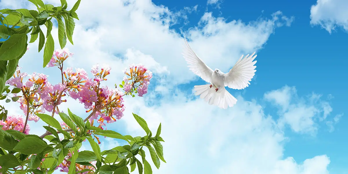 The Triumph Of Peace