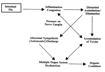 Diagram of flu aftereffects