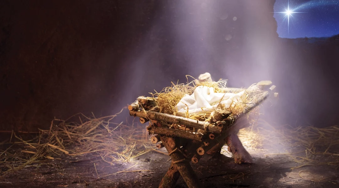 LIVE Webinar: The Hidden Meaning of Christmas: Birthing the Child Within Us