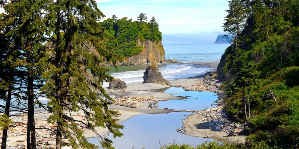 Edgar Cayce’s Seabeck 2025