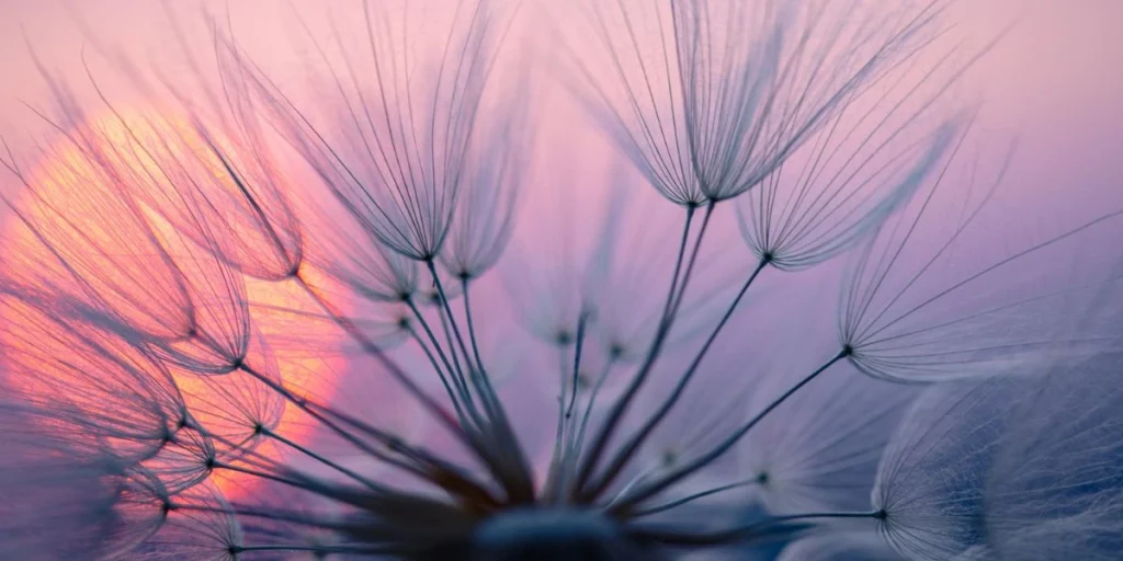 Raising Our Vibrations and Expanding Our Minds