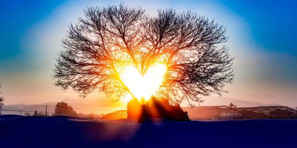 Healing Your Soul Family